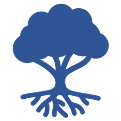 Bos
